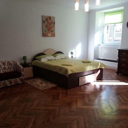 Charming Downtown Studio Μπρασόβ Εξωτερικό φωτογραφία