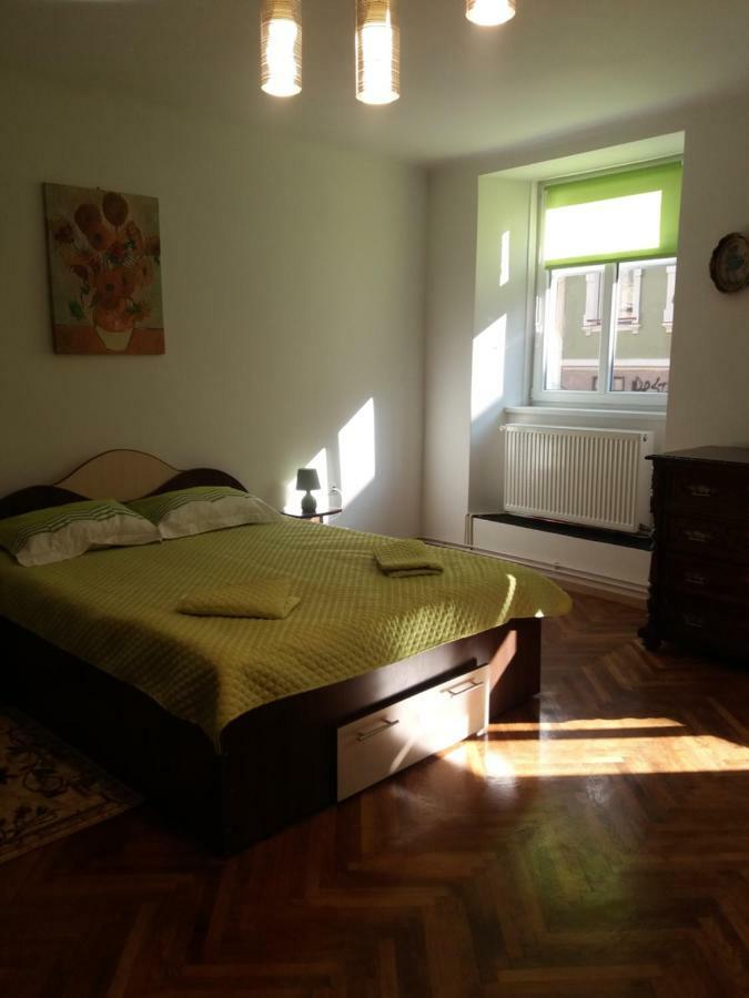Charming Downtown Studio Μπρασόβ Εξωτερικό φωτογραφία
